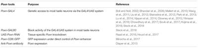 Using Pox-Neuro (Poxn) Mutants in Drosophila Gustation Research: A Double-Edged Sword